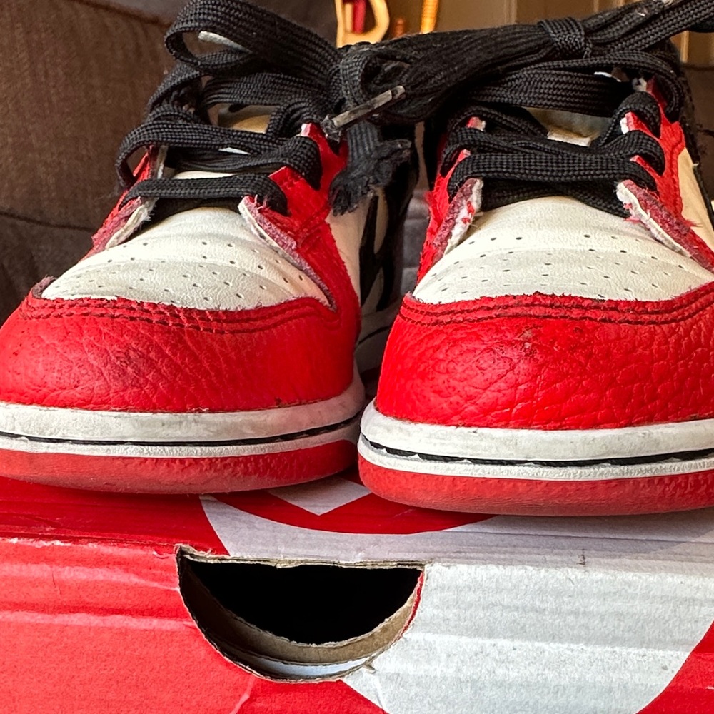 Nike Dunk Low NBA 75thAnniversary Chicago